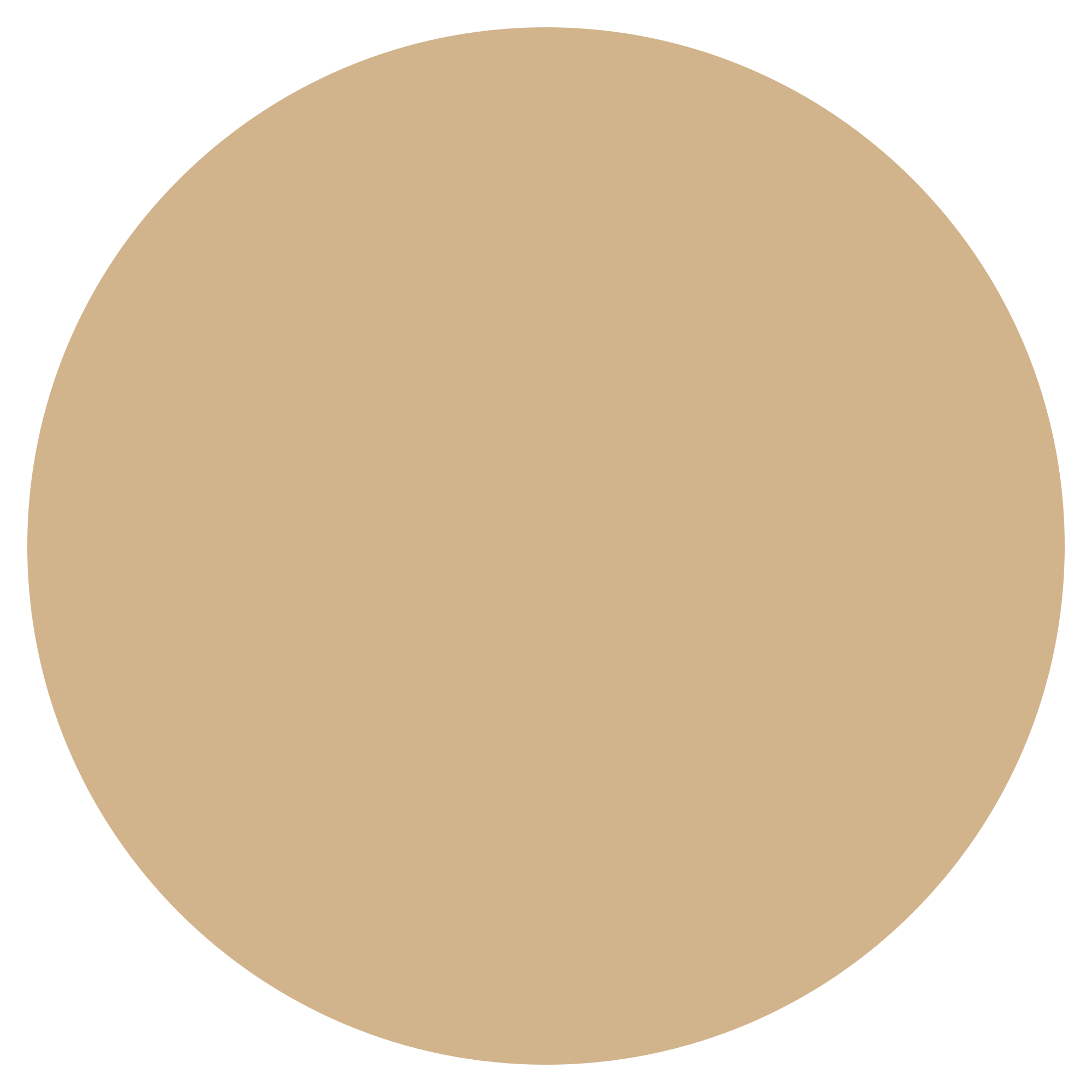 Circle Shape 1